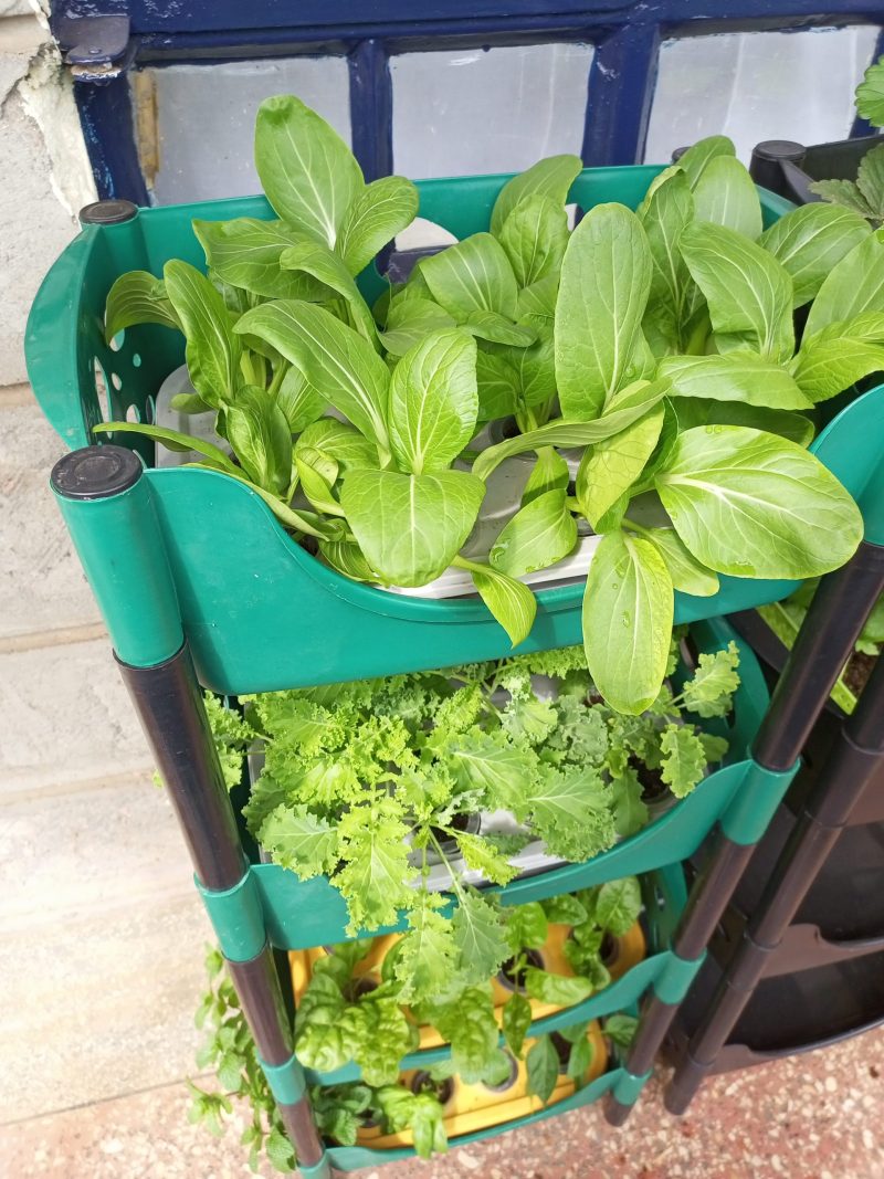 Self-Watering Stackable Hydroponic Gardening Kit