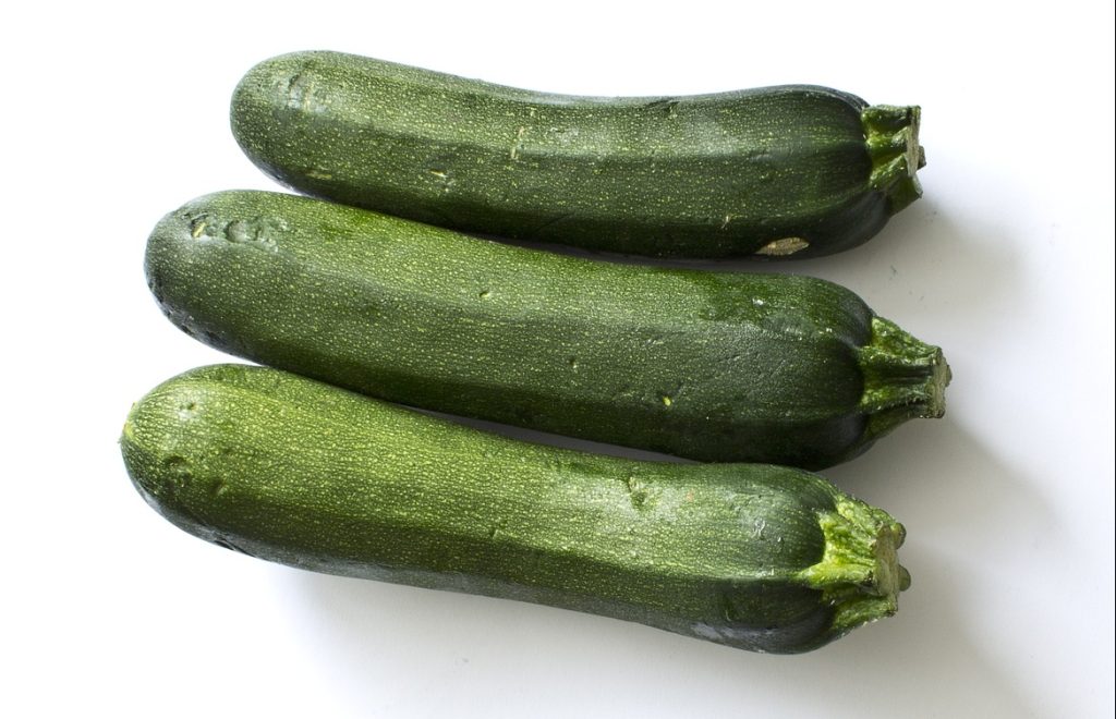 Courgette hydroponic gardening